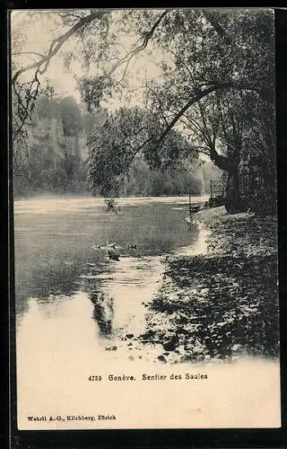 AK Genéve, Sentier des Saules