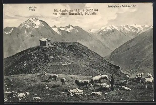AK Starkenburger Hütte am hohen Burgstall, Berghütte mit Habicht