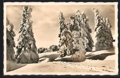 AK Fuchsbergbaude /Riesengebirge, Berghütte in verschneiter Umgebung