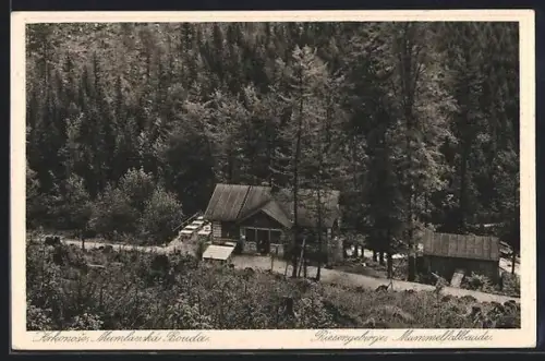 AK Mummelfallbaude /Riesengebirge, Mit anliegendem Wald