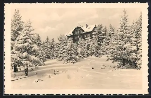 AK Stubenberghaus am Schöckel, Verschneite Berghütte mit anliegendem Wald
