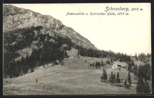 AK Sparbacher Hütte auf dem Schneeberg, Fadenwände