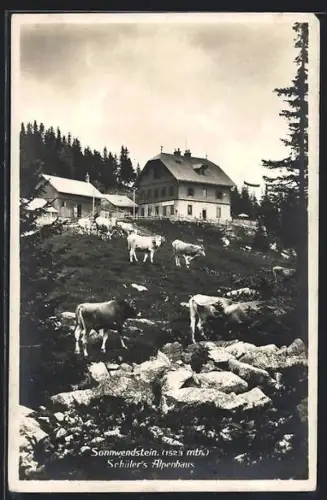 AK Schottwien, Schüler`s Alpenhaus auf dem Sonnwendstein, Blick zum Haus