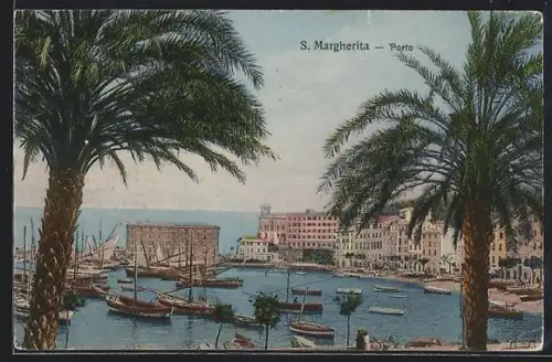 AK S. Margherita, Porto