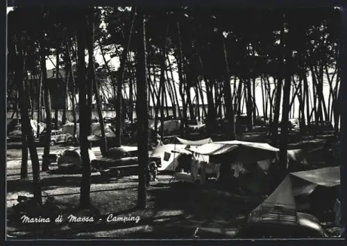 AK Marina di Massa, Camping