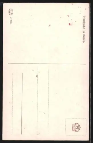 Künstler-AK Rudolf Alfred Höger: Bozen, Pfarrkirche