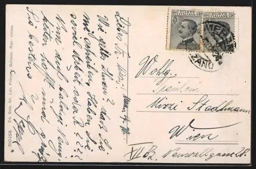 AK Merano, Vista generale