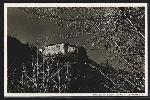 AK Valsolda, Castello