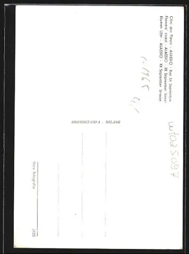 AK Alassio, Riviera dei Fiori