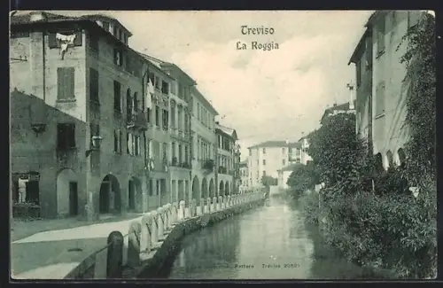 AK Treviso, La Roggia