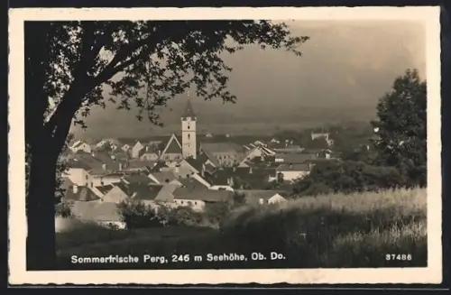 AK Perg /Ob. Do., Ortsblick mit Kirche