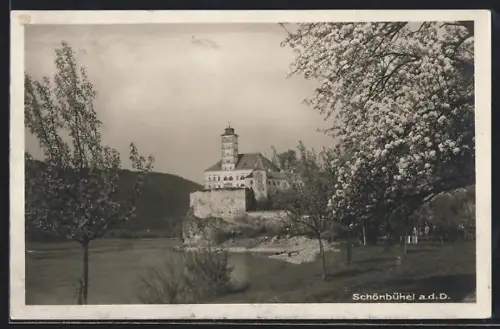 AK Schönbühel a.d.D., Schloss auf Felsen an der Donau