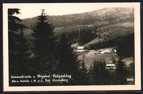 AK Ulrichsberg /Ob. Öst., Sommerfrische Holzschlag