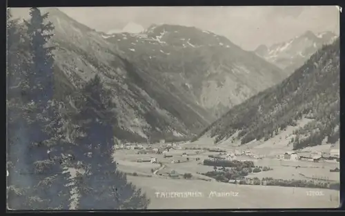AK Mallnitz, Tauernbahn mit Bergpanorama