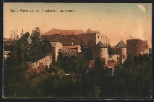 AK Neufelden /Ob.-Österr., Ruine Pürnstein