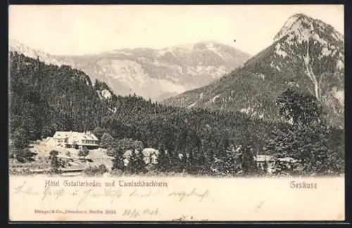 AK Gstatterboden /Gesäuse, Hotel Gstatterboden und Tamischbachturm