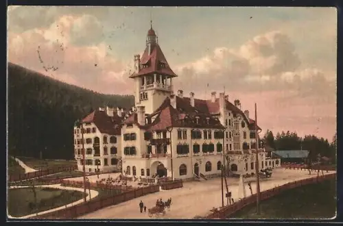 AK Semmering, Hotel Erzherzog Johann