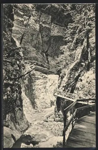 AK Dornbirn /Vorarlberg, Alploch-Partie