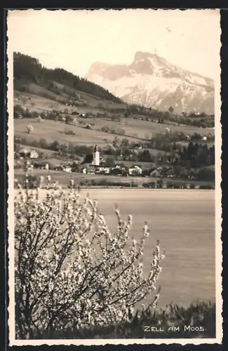 AK Zell am Moos, Panorama mit See, Ort und Kirche vor Bergkulisse