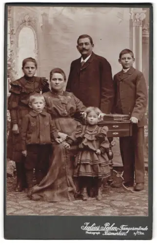Fotografie Julius Palm, Tangermünde a. Elbe, Bismarckstrasse, Familienporträt mit sechs Personen