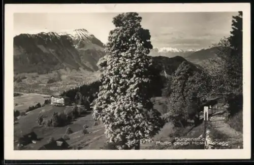 AK Bürgenstock, partie gehen Hotel Honegg