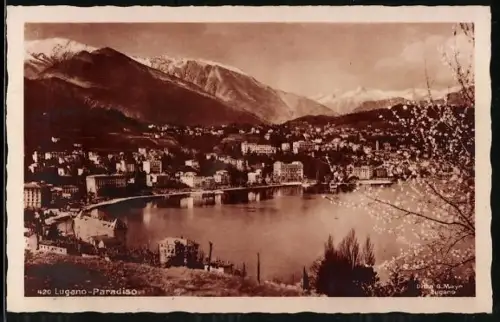 AK Lugano, Paradiso