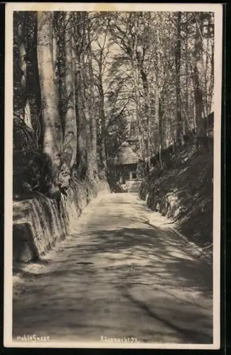 AK Küssnacht a. R., Strassenpartie