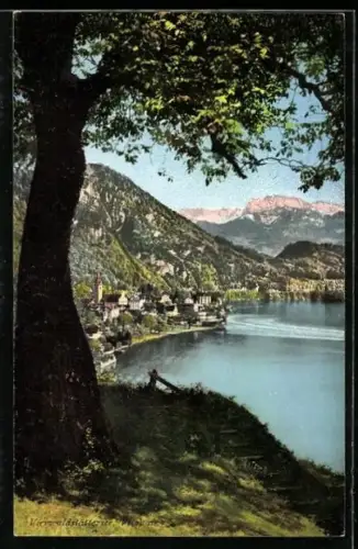AK Vitznau, Ortspartie am Vierwaldstättersee