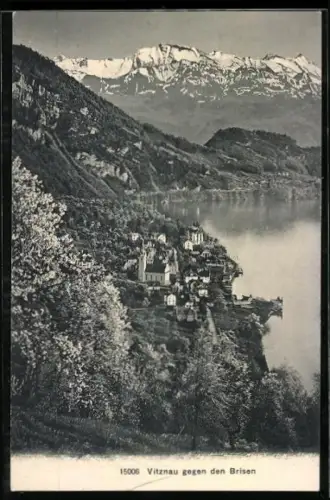 AK Vitznau, Teilansicht gegen den Brisen