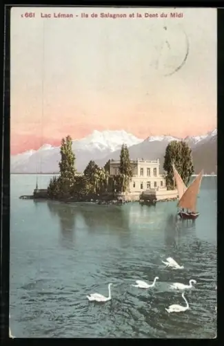 AK Ile de Salagnon /Lac Léman, Panorama et la Dent du Midi