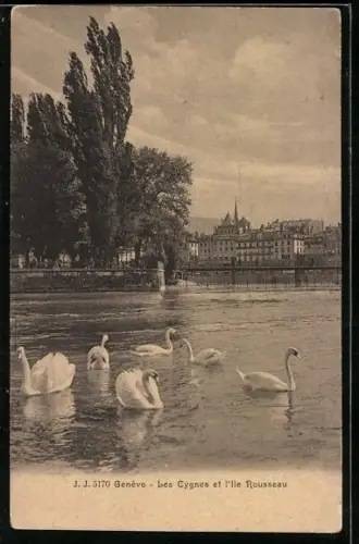 AK Genève, Les Cygnes de l`Ile Rousseau