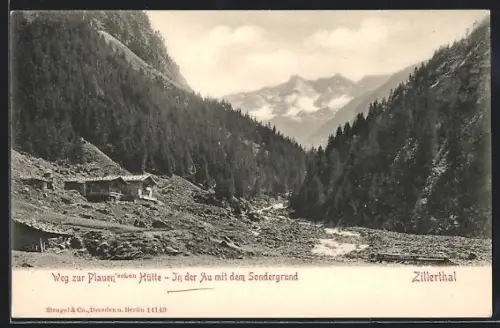 AK Ginzling /Zillertal, Zillergrund, Weg zur Plauenschen Hütte, In der Au mit dem Sondergrund