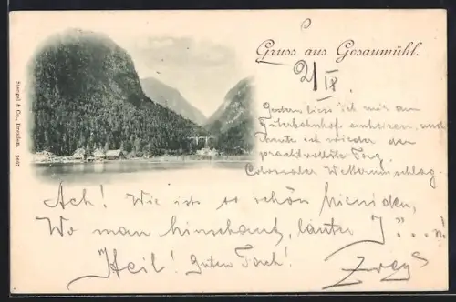 AK Hallstatt, Gosaumühl, Panorama