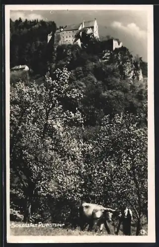 AK Micheldorf, Schloss Alt-Pernstein