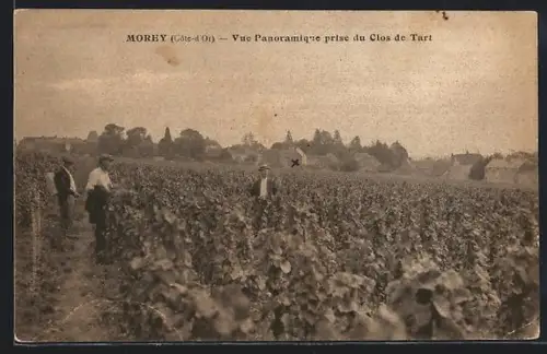 AK Morey /Côte-d`Or, Vue panoramique prise du Clos de Tart