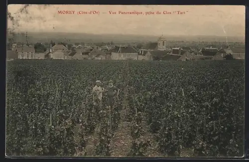 AK Morey, vue panoramique, prise du Clos Tart