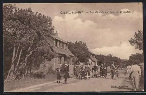 AK Cayeux-sur-Mer, Les Chalets au bois de Brighton