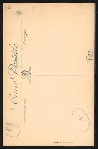 AK Auxerre, La Rue Cauchois