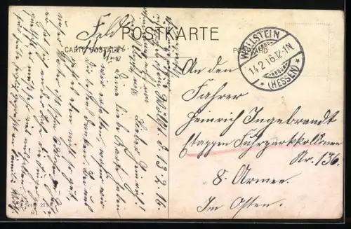 AK Zwei Schäferhund-Mischlinge, Portrait