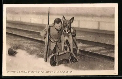 AK Sanitätshund Troll stützt den aufgespürten Verwundeten