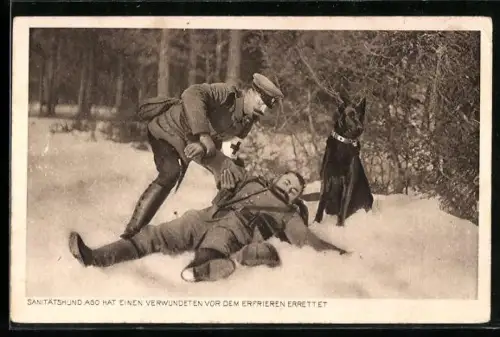 AK Sanitätshund Ago nach der Rettung eines verwundeten Soldaten