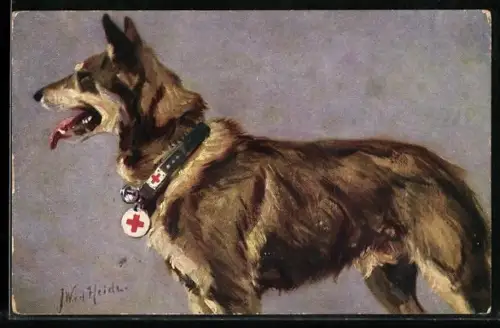 Künstler-AK Sanitätshund
