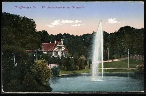 AK Strassburg, Els Bauernhaus in der Orangerie