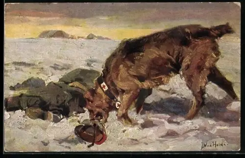 Künstler-AK Unser Sanitätshund im Felde: Sanitätshund hat in der Einsamkeit der Schneefelder einen Verwundeten gefunden