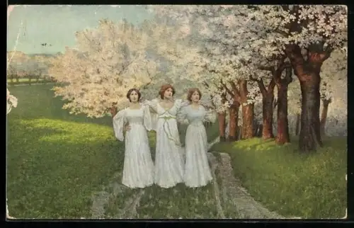 AK Dresden, Konblumentag 1913, Drei Mädchen in Weiss vor blühenden Bäumen