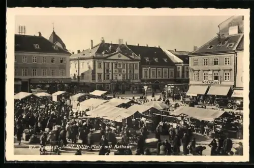 AK Wr. Neustadt, reges Treiben am Platz mit Rathaus