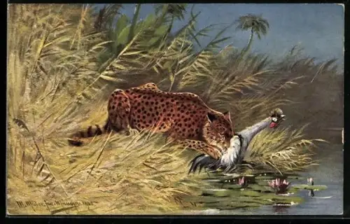 Künstler-AK M. Müller jun.: Leopard fängt seine Beute