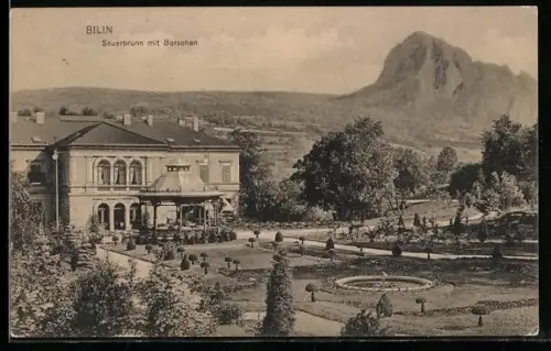 AK Bilin / Bilina, Sauerbrunn mit Borschen