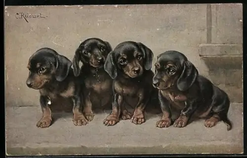 Künstler-AK Carl Reichert: Vier Dackel sitzen in einer Reihe