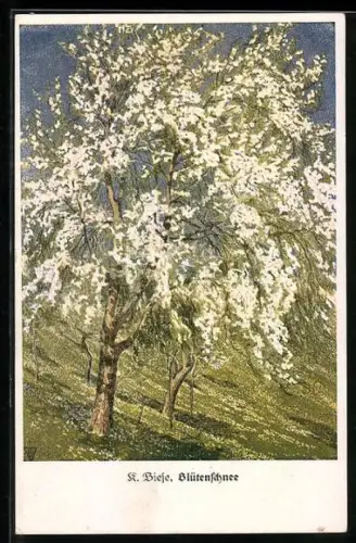 Künstler-AK C.Biese: Blühende Bäume auf einer Wiese